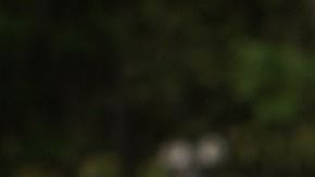 Los abrazos entre menores y ancianos deben ser breves.