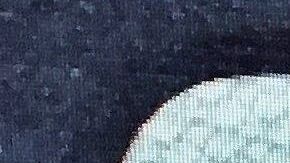 La regla afectaría a quienes apliquen por "green card".