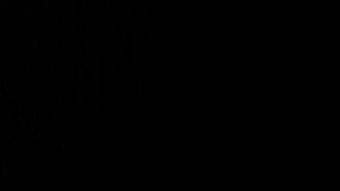 Algunos signos del Zodiaco son más ansiosos que otros.