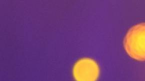 Existen rituales para ser famoso y popular.