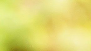 Para poder lograr tener una gran riqueza, es necesario desarrollar nuevos hábitos.