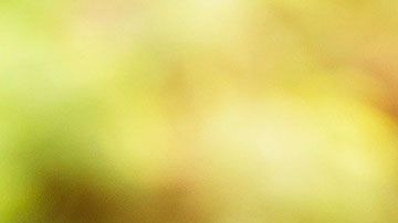 Para poder lograr tener una gran riqueza, es necesario desarrollar nuevos hábitos.