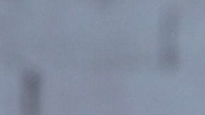 El timonel del rebaño, Benjamín Galindo no se tocará el corazón para depurar y armar a las Chivas en la próxima camapaña.