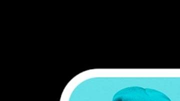 Quibi es la nueva plataforma de streaming.