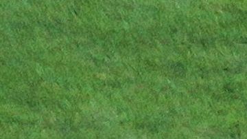 El técnico aun no ha podido arreglarse con el Monterrey.