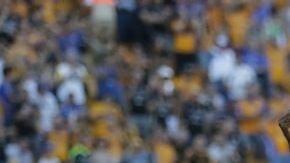 El delantero de los TIgres se solidariza con la población de su país.