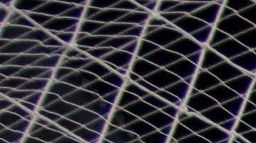 La Liga de Ascenso no sobrevivió al coronavirus.