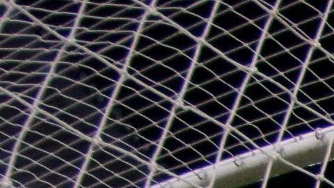 La Liga de Ascenso no sobrevivió al coronavirus.