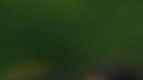 Andrés Guardado recibió permiso para abandonar la concentración de la Selección Mexicana.