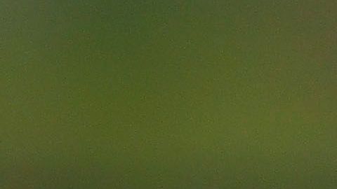 Héctor Moreno se negó a volver a México para jugar con Chivas.