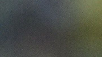 Herrera ha sido campeón dos veces con América.