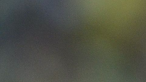 Herrera ha sido campeón dos veces con América.