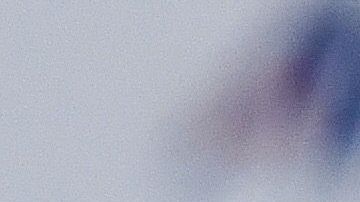 Alanís ya busca otras opciones.