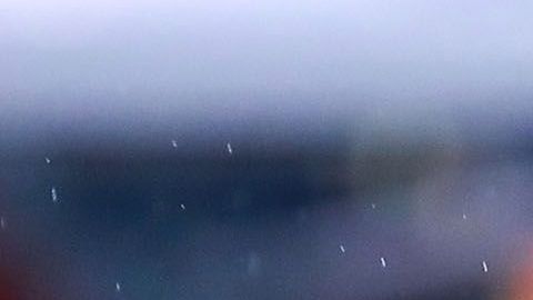 Alondra González dejará a las Águilas.