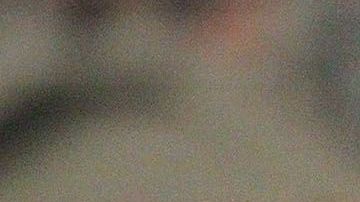 Ibarra fue dado de baja por el América.