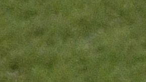 América les negó el permiso.