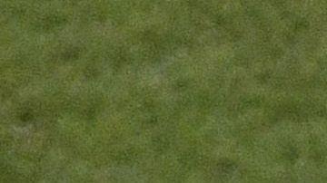 América les negó el permiso.