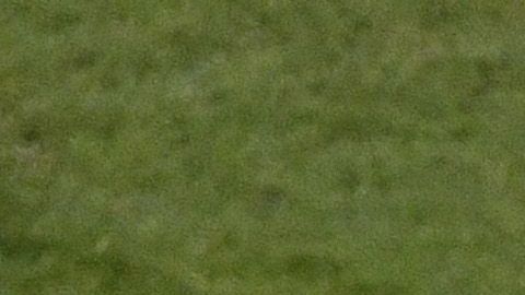 América les negó el permiso.