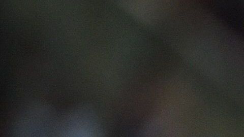 Vega no ha jugado los últimos partidos por lesión.