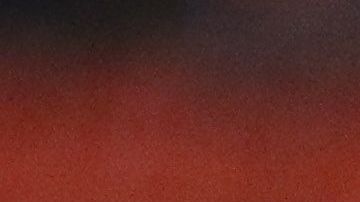 El ´Piojo' aseguró que Ibarra cometió un error.