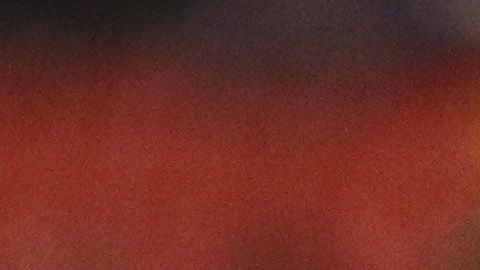 El ´Piojo' aseguró que Ibarra cometió un error.