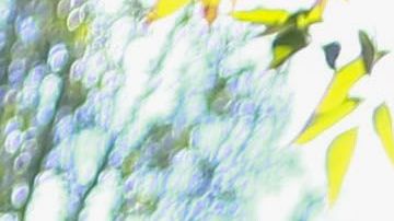 La barra “La Guerrilla” llevó su aportación a hospitales de San Luis.