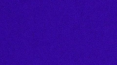 Enrique Bonilla dio positivo para coronavirus.