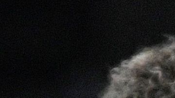 América fue derrotado por el Cruz Azul en el clásico joven.