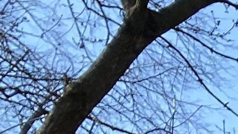 La advertencia sobre distanciamiento social en un parque de Queens.