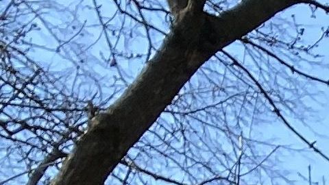 La advertencia sobre distanciamiento social en un parque de Queens.
