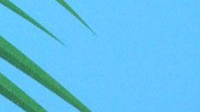 Jaime Camil y Heidi Balvanera