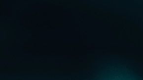 jelena Djokovic noticias falsas