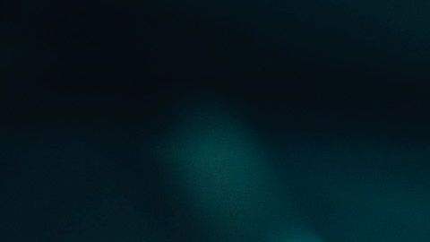 jelena Djokovic noticias falsas