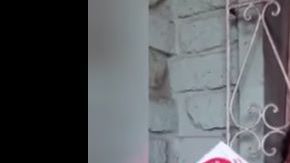 De nuevo al ataque #LadyZote.