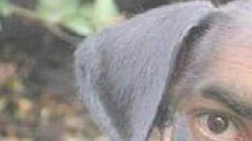 A la mujer le llamaro #LadyZote