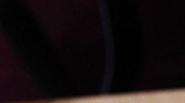 Foto:Sharon Ang/Pixabay