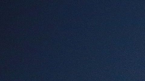 Ricardo Antonio Lavolpe está esperando un par de refuerzos extaras para los Diablos Rojos.