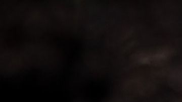 El primer paso para salir a la victoria, se puede encontrar en este pequeño brote de esperanza.