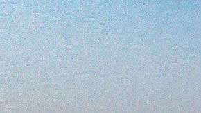 Los informes, accesibles para todo el mundo y en el caso Estados Unidos se puede consultar por cada uno de los estados.