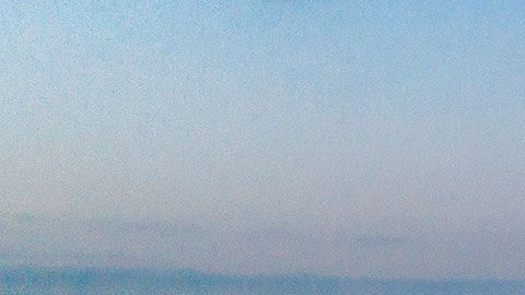 Los informes, accesibles para todo el mundo y en el caso Estados Unidos se puede consultar por cada uno de los estados.