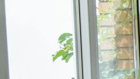 La entrada de luz solar y aire fresco a tu hogar es benéfico para tu salud.