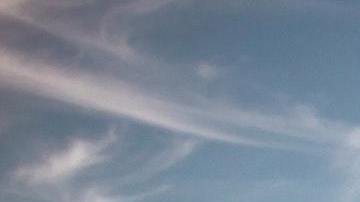 Los signos que tienen un vínculo especial.