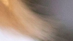 Puedes responder al Censo 2020 desde tu tableta.