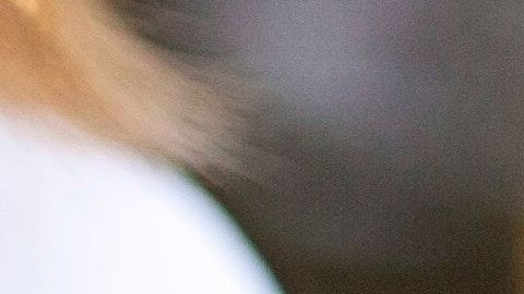 Puedes responder al Censo 2020 desde tu tableta.