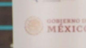 Mónica Maccise, comisionada antidiscriminación de México.