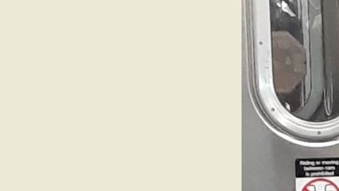 Parte de la anarquía en el subterráneo