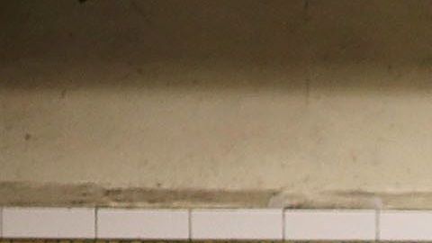 El NYPD indico que el suceso ocurrió a las 3:30 a.m. en una plataforma del subway.