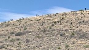 La foto del recuerdo.