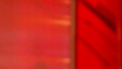 Alexa Dellanos y Myrka Dellanos.