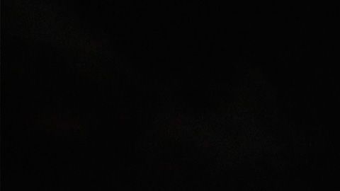 Todas las visitas opciones se encuentran en la página de NYC & Company.